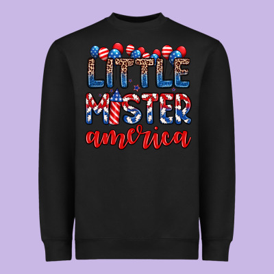 Little Mister America Heavyweight Sweatshirt Designed By Zillion Design Studio