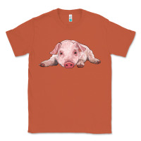 Copper baby pig Classic Tee - RanaPortraitStore