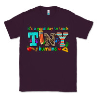 Plum its a good day to teach tiny humans Classic Tee - AdoDesignShop