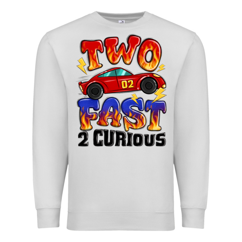 Two Fast Two Curious Boys Birthday Racing Car Premium Sweatshirt by MaliasSmallBusiness | Teevron