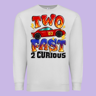 Two Fast Two Curious Boys Birthday Racing Car Premium Sweatshirt Designed By Maliassmallbusiness