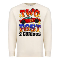 Sandshell two fast two curious boys birthday racing car Premium Sweatshirt - MaliasSmallBusiness