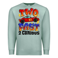 Seafoam two fast two curious boys birthday racing car Premium Sweatshirt - MaliasSmallBusiness