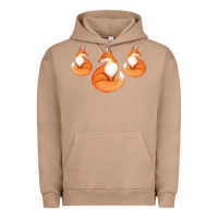 Pigment Burro Three Little Foxes IN Fox Family I Gift Urban Hoodie - Bettercallsaul