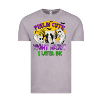Vintage Zinc Feeling Cute Might Haunt U Later Vintage Tee - texasbilliewilder