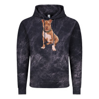 Cloud Black Brown Pitbull Vintage Hoodie - RanaPortraitStore
