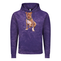 Cloud Purple Brown Pitbull Vintage Hoodie - RanaPortraitStore