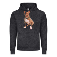 Vintage Black Brown Pitbull Vintage Hoodie - RanaPortraitStore