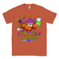 Copper i care for the cutest pumpkins in the patch Classic Tee - BundleAndBundleShop