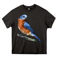 Asphalt Eastern Bluebird Heavy Core Tee - LillyAllenDesigns