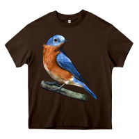 Chocolate Brown Eastern Bluebird Heavy Core Tee - LillyAllenDesigns