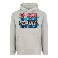 Moon Dust america since 1776 Heavyweight Hoodie - MaliasSmallBusiness