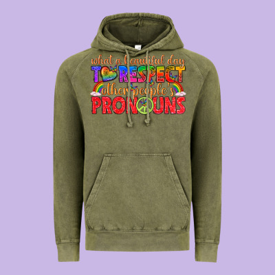 Vintage Hoodie what a beautiful day to respect other peoples pron