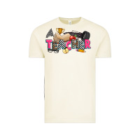 Vintage Arctic race teacher Vintage Tee - Zillion Design Studio