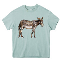 Arona american mammoth jackstock donkey Heavy Core Tee - LillyAllenDesigns
