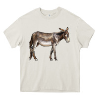 Cream american mammoth jackstock donkey Heavy Core Tee - LillyAllenDesigns