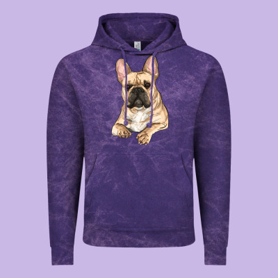 Vintage Hoodie French bulldog sitting
