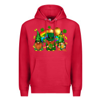 Cardinal st. patricks  gnomies with rainbow Premium Hoodie - BundleAndBundleShop