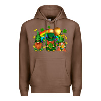 Chestnut st. patricks  gnomies with rainbow Premium Hoodie - BundleAndBundleShop