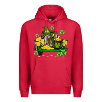 Cardinal st patricks truck and gnome Premium Hoodie - AdoDesignShop