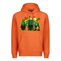 Carrot St. Patrick's afro gnomies with rainbow Premium Hoodie - BundleAndBundleShop