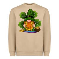 St Patricks Day Gnomes Shamrock Gold Horseshoes Rainbow Heavyweight Sweatshirt | Teevron