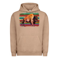 Pigment Burro Aztec Buffalo Urban Hoodie - Bettercallsaul