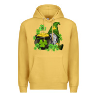 St Patricks Gnome And Pot Of Gold Premium Hoodie | Teevron