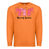Carrot easter bunny Premium Sweatshirt - MaliasSmallBusiness