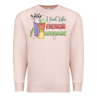 Pale Pink i feel like garbage raccoon Premium Sweatshirt - MaliasSmallBusiness