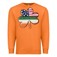 Carrot st patricks day shamrock american flag Premium Sweatshirt - MaliasSmallBusiness