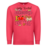 Cardinal my teacher survived 100 days of me Premium Sweatshirt - MaliasSmallBusiness