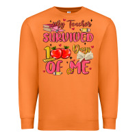Carrot my teacher survived 100 days of me Premium Sweatshirt - MaliasSmallBusiness