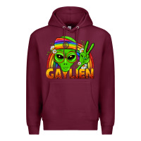 Burgundy Gaylien LGBTQ Pride Premium Hoodie - BundleAndBundleShop