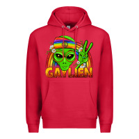Cardinal Gaylien LGBTQ Pride Premium Hoodie - BundleAndBundleShop