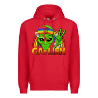 Red Gaylien LGBTQ Pride Premium Hoodie - BundleAndBundleShop