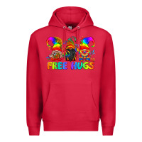 Cardinal LGBTQ Free Hugs Gnomes Premium Hoodie - BundleAndBundleShop
