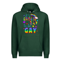 Sports Green Western It's Great Day To Be Gay Premium Hoodie - BundleAndBundleShop