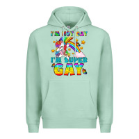 Seafoam LGBTQ I'm Not Gay I'm Super Gay Premium Hoodie - BundleAndBundleShop