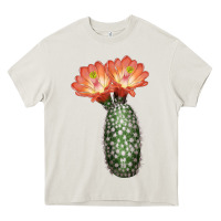 Cream King Cup Cactus Heavy Core Tee - LillyAllenDesigns