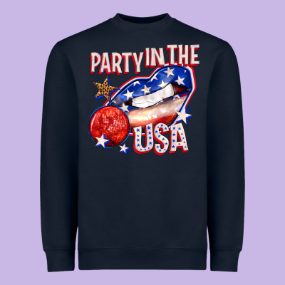 Heavyweight Sweatshirt party in the usa billie wilder
