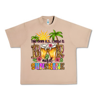 Burro the only b.s. i need is beer and sunshine Urban Heavy Tee - Zillion Design Studio