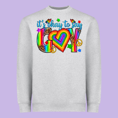 Heavyweight Sweatshirt its okay to say gay