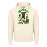 Vintage Artic St. Patrick's Day My Pitbull Is My Lucky Charm Vintage Hoodie - RanaPortraitStore