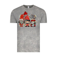 Cloud Rock ladybug  gnomies Vintage Tee - BarkalooDesign