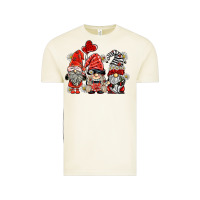 Vintage Arctic ladybug  gnomies Vintage Tee - BarkalooDesign