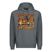 Rock chilling with my gnomies bbs Premium Hoodie - BundleAndBundleShop