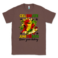 Chestnut celebrate juneteenth know your history Classic Tee - HRA Design Shop