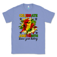 Colony Blue celebrate juneteenth know your history Classic Tee - HRA Design Shop