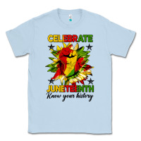 Dusty Blue celebrate juneteenth know your history Classic Tee - HRA Design Shop